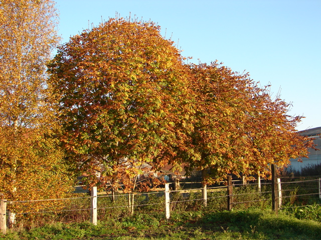 Bild_14