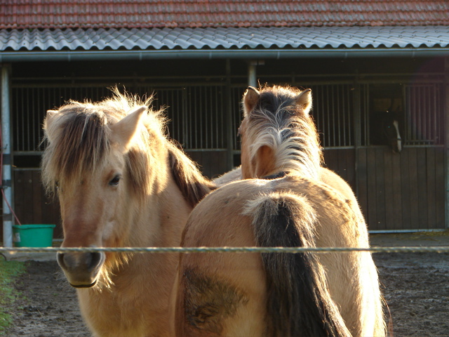 Bild_14
