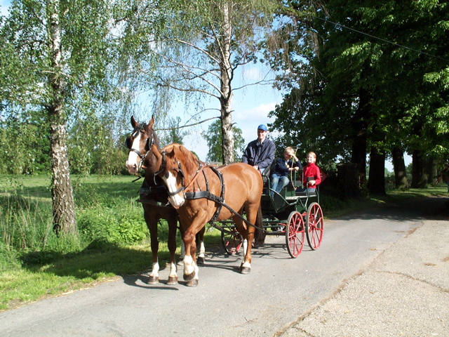 Bild_10